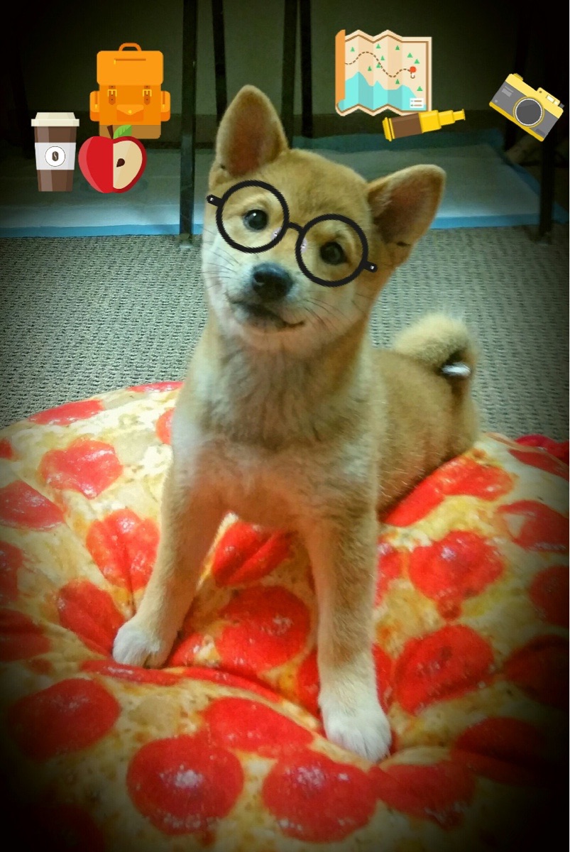 摩洛哥男篮在非洲锦标赛中崭露头角,篮球运动迅速升温