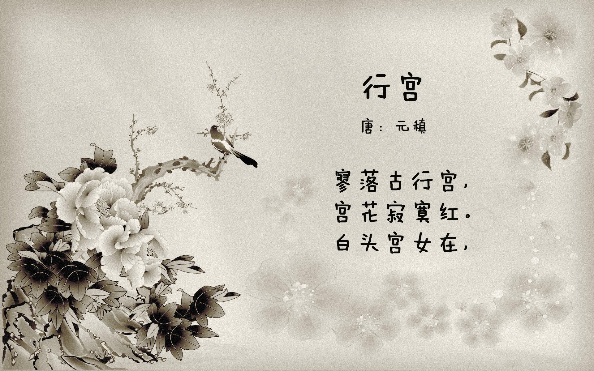 施瓦茨以高配速完成前400米,施瓦茨科普