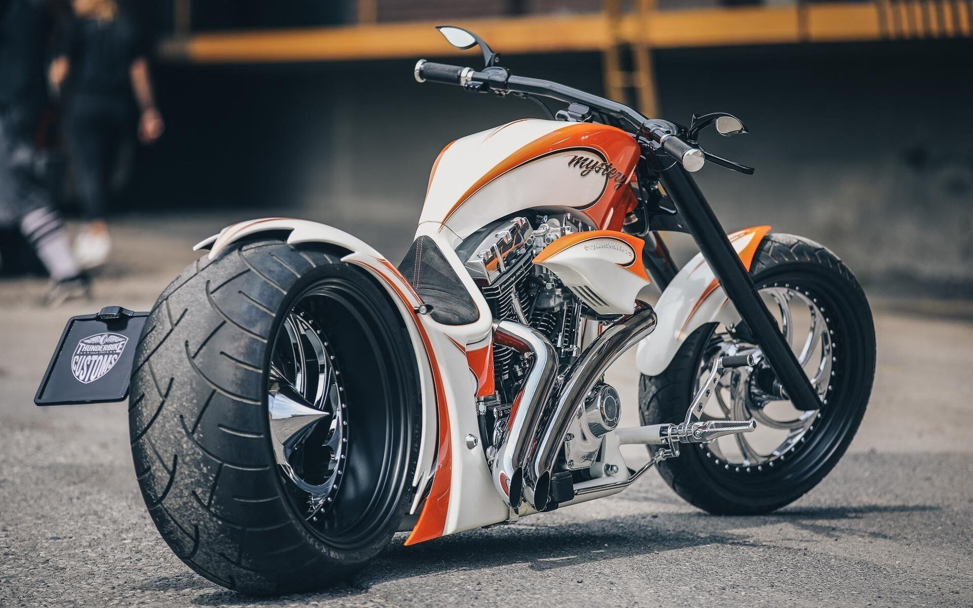 森林狼本土球员参与城市公益活动,森林狼球队