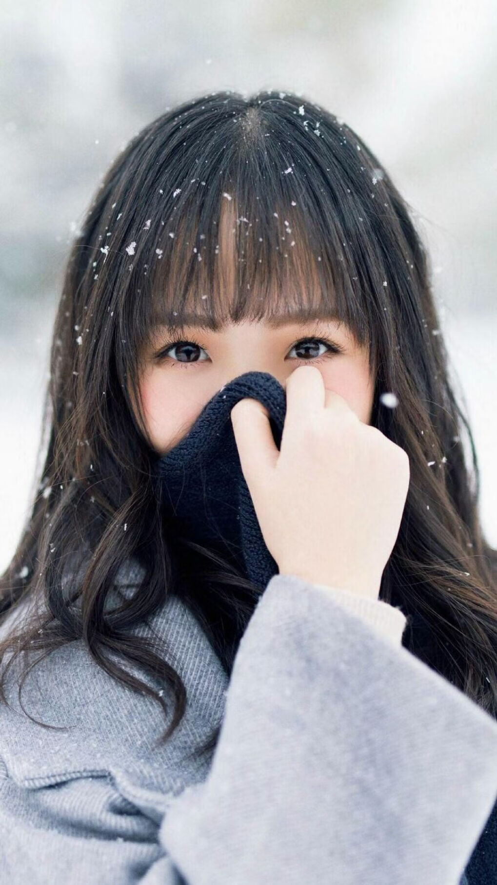 森林狼本土球员参与城市公益活动,森林狼球队