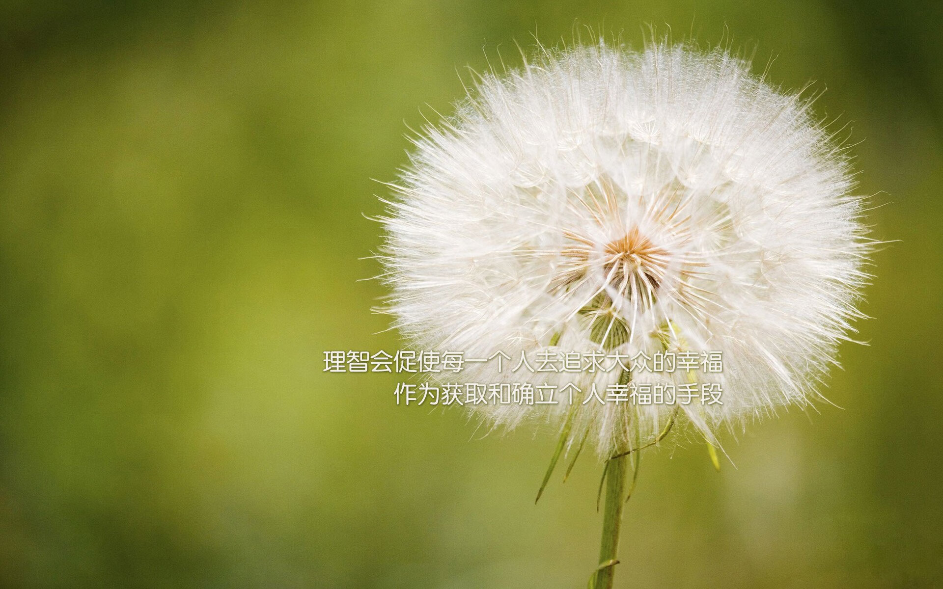 爱游戏体育app-欧洲杯变阵突破：战术创新引领新潮流！，欧洲杯方案