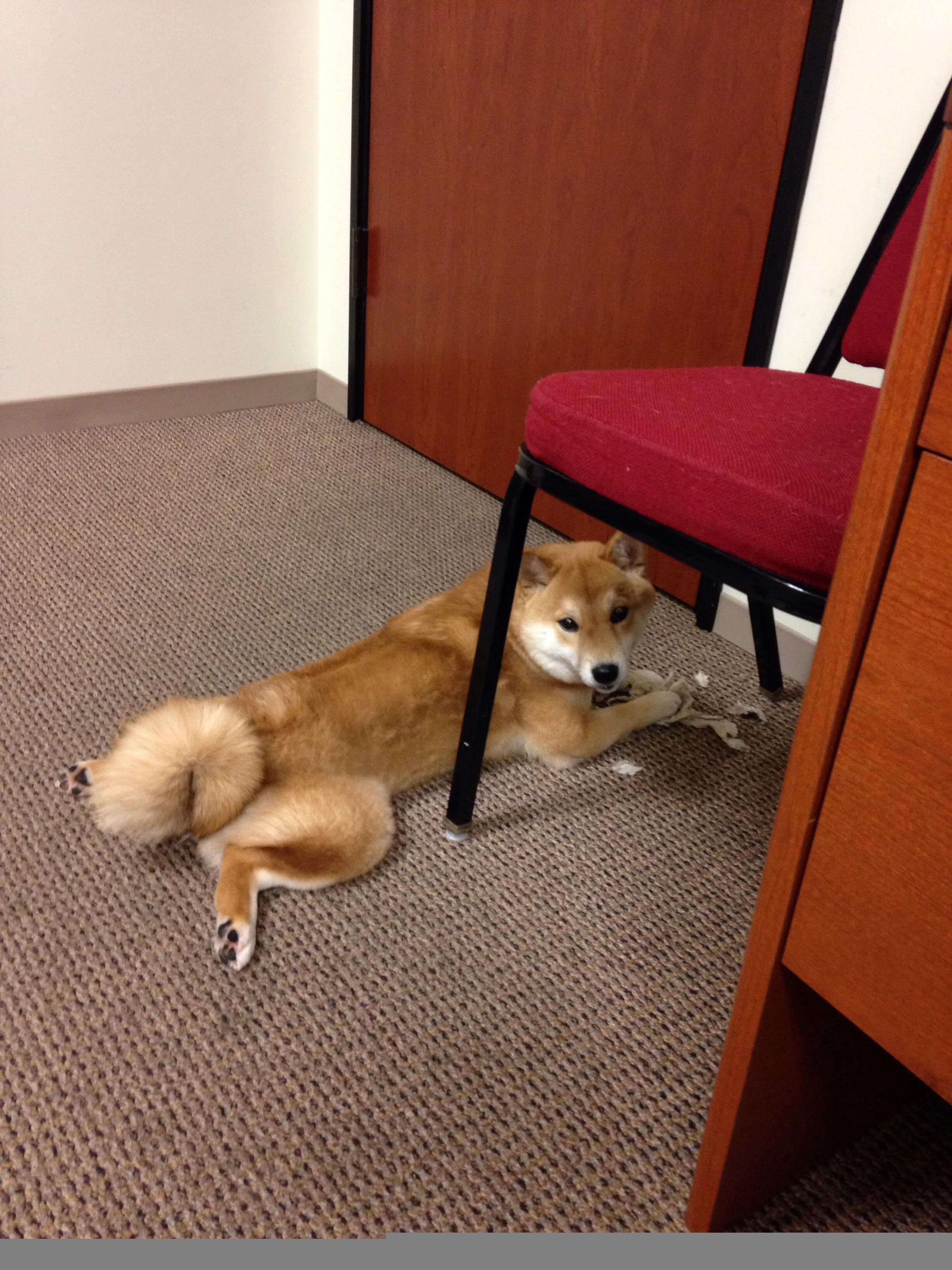 爱游戏中国官方登录入口网站-篮球训练课程引入动作捕捉技术，篮球技术移动