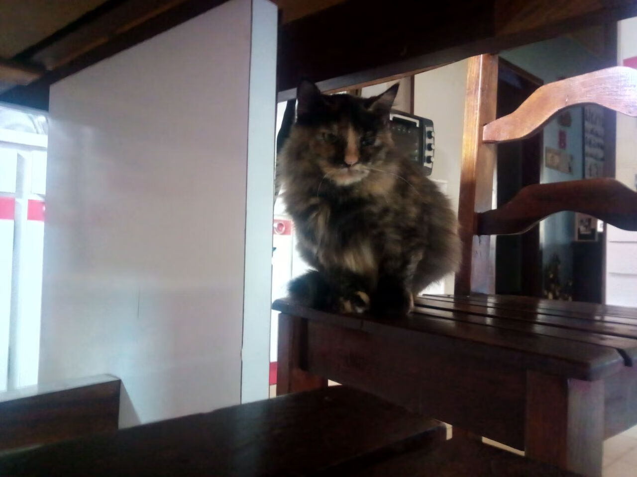 爱游戏在线登录入口-“伊万·戈梅斯的反击速度与精准进攻，为阿根廷美洲狮队注入更多攻击力”